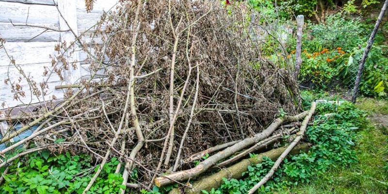 resturi vegetale giroc 2024